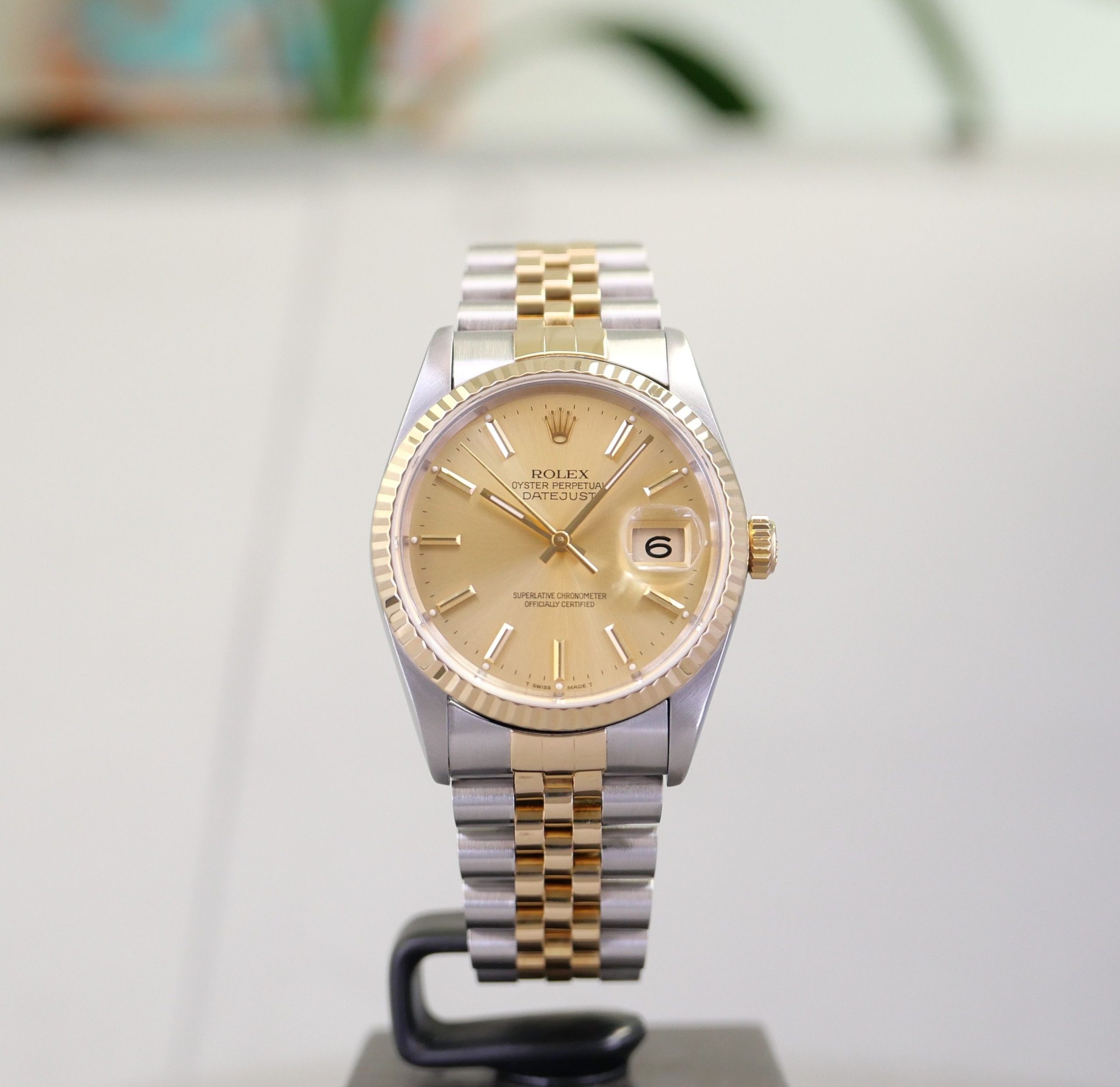 Rolex Datejust 36 Full Set Revision 10/21
